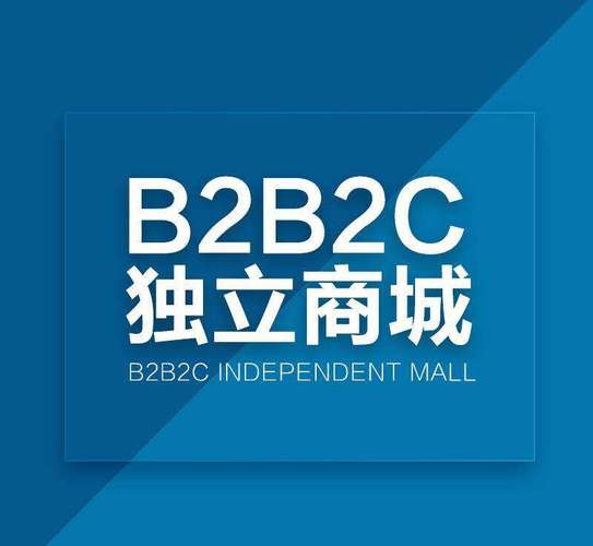 b2b2c商城系统有哪些设置功能_安菲科技